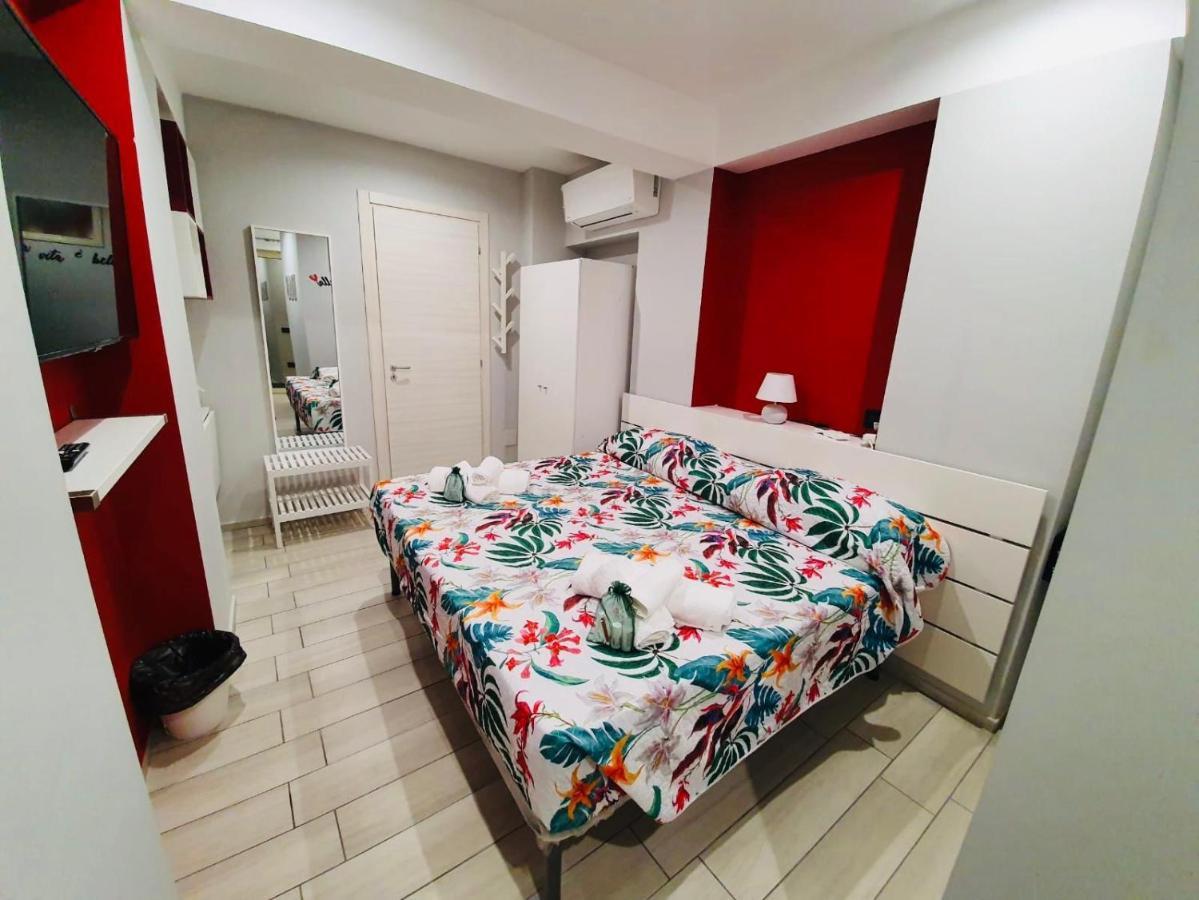 Scilla's Dream Guest house